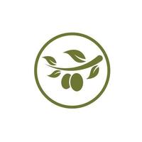 Olive tree vector illustration