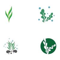 Seaweed logo with template illustration vector design.