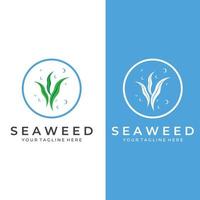 Seaweed logo with vector illustration design.