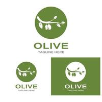 aceite de oliva logo naturaleza vector