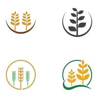 Wheat or cereal logo, wheat field and wheat farm logo.With easy and simple editing illustrations. vector