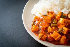 Mapo Tofu - The traditional Sichuan dish of silken tofu and ground beef, packed with mala flavor from chili oil and Sichuan peppercorns. photo