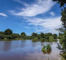 Beautiful sunny landscape at a lake with a reflective water surface. photo