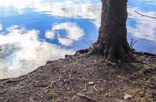 Beautiful landscape at a lake with a reflective water surface photo