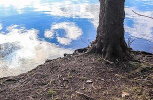 hermoso paisaje en un lago con una superficie de agua reflectante foto