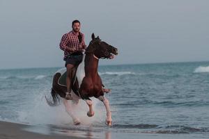 A modern man in summer clothes enjoys riding a horse on a beautiful sandy beach at sunset. Selective focus photo