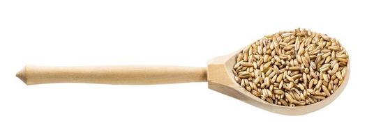 wooden spoon with unpolished oat grains isolated photo