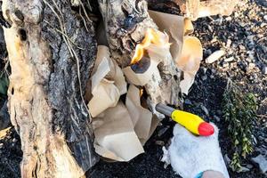 lighting fire with paper and butane torch outdoors photo