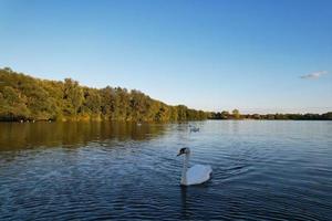 lindos pájaros acuáticos nadando, imágenes del lago willen y el parque que se encuentra en milton keynes, inglaterra. la gente disfruta en el lago en un caluroso día soleado de verano. videoclip capturado el 21-8-2022 foto