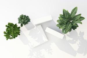 3D render of tropical plants isolated on white background. photo