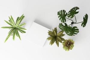 Render 3D de plantas tropicales aisladas sobre fondo blanco. foto