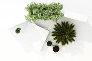 3D render of tropical plants isolated on white background. photo