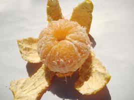 orange isolated on a white background.high angle view. photo