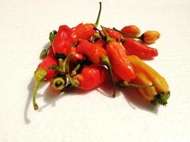 red hot chili isolated on a white background. Chili is a fruit and plant member of the genus Capsicum. The fruit can be classified as either a vegetable or a spice, depending on how it is used. photo