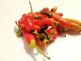 red hot chili isolated on a white background. Chili is a fruit and plant member of the genus Capsicum. The fruit can be classified as either a vegetable or a spice, depending on how it is used. photo