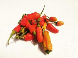 red hot chili isolated on a white background. Chili is a fruit and plant member of the genus Capsicum. The fruit can be classified as either a vegetable or a spice, depending on how it is used. photo