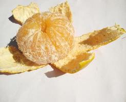 orange isolated on a white background.high angle view. photo