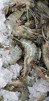 Fresh shrimp raw shrimp or crustacean or crustaceae from the market photo