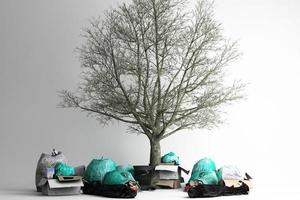 The tree is surrounded by many recyclable bins on a white background. 3D rendering. photo