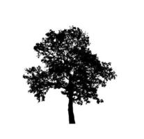 Isolated tree silhouette for brush on white background photo