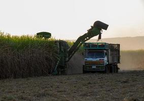 Sugar cane harvesting machine Loading sugarcane truck Productivity ready to sell photo