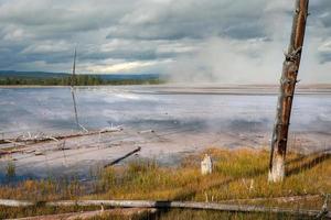 Dead trees with bobby socks in the Grand Prismatic Spring in Yellowstone photo