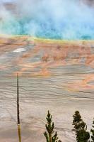 Grand Prismatic Spring en el Parque Nacional Yellowstone foto