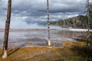 Dead trees with bobby socks in the Grand Prismatic Spring in Yellowstone photo