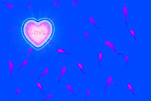 pink heart with sperm on blue background photo