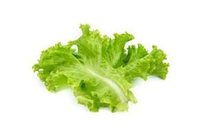 Lettuce leaf on white background,Salad ingredient photo