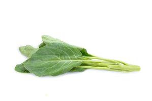 leaves of collards on background photo