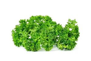 Parsley leaf or Petroselinum crispum leaves isolated on white background ,Green leaves pattern photo