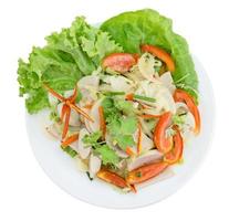 Thai cuisine spicy pork salad on wood background or Yum Moo Yor,clipping path photo