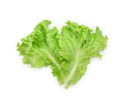 Lettuce leaf on white background,Salad ingredient photo