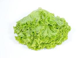 Lettuce leaf on white background,Salad ingredient photo