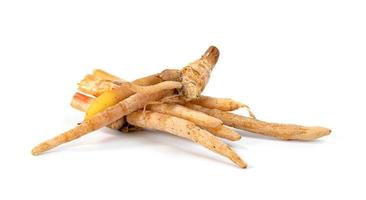 finger root or Chinese's Ginger isolated on the white background. photo