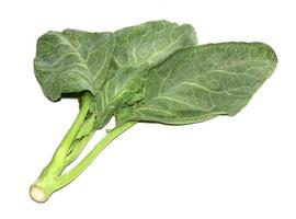 leaves of collards on background,Chinese kale photo