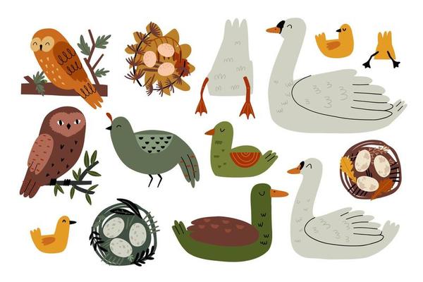 set with birds and nests. hand drawn flat vector illustration