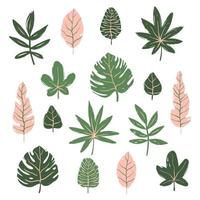 Set of hand drawn tropical leaves vector