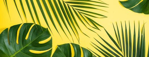 fondo de hojas tropicales, hojas de palma, hojas de monstera aisladas sobre fondo amarillo brillante, vista superior, plano, concepto de diseño de verano superior. foto