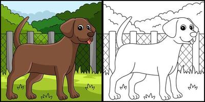 ilustración de página para colorear de perro de laboratorio de chocolate vector