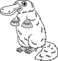 Platypus Isolated Coloring Page for Kids vector