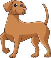 Vizsla Dog Cartoon Colored Clipart Illustration vector