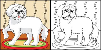 Maltese Dog Coloring Page Colored Illustration vector