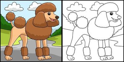 Poodle Dog Coloring Page Colored Illustration vector