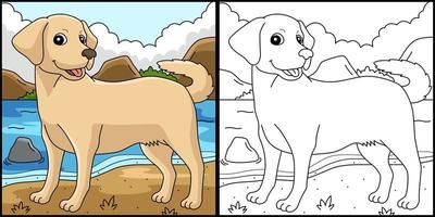 labrador retriever perro colorear página ilustración vector