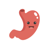 Cute cartoon stomach. Stomach illustration. png