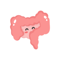 carino cartone animato intestino. intestino illustrazione. png