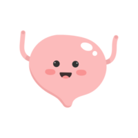 Cute cartoon bladder. Bladder illustration. png