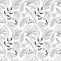 Floral seamless pattern in black and white line style. Doodle flowers textile print. Vintage nature graphic. Umberella roan branch, lavander flower anf leaves vector